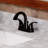 Wild 2-handle Bathroom Faucet with Drain Assembly