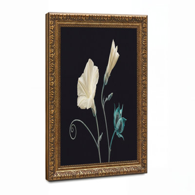 «White Morning Glory» et art floral bleu sarcelle sur toile noire