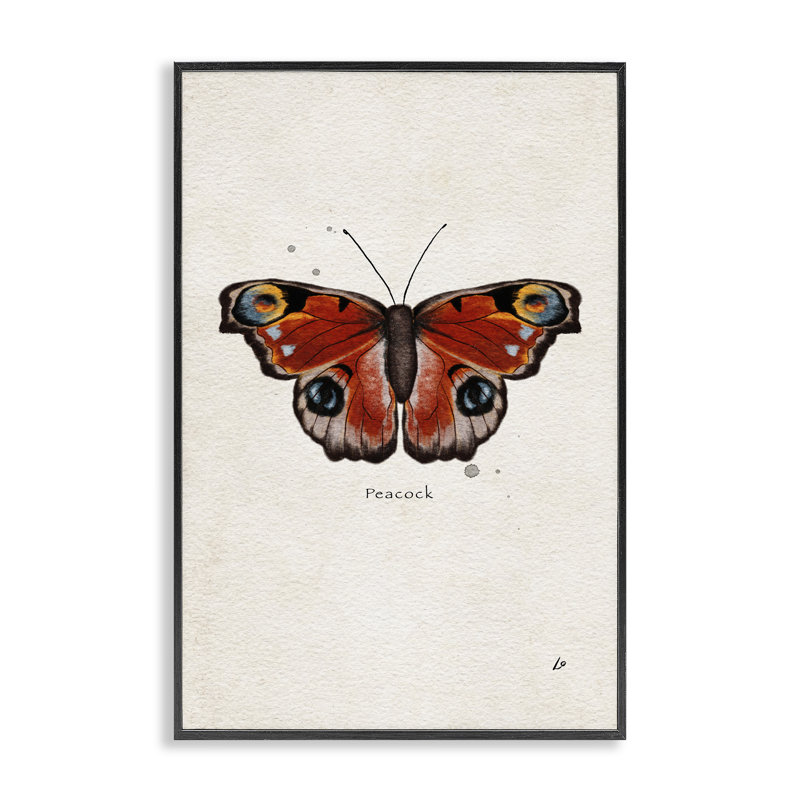 «Peacock Butterfly Study», art de la giclée encadrée par Lydia Orange, H 18 po x l 12 po, Giclée encadrée noir minuit