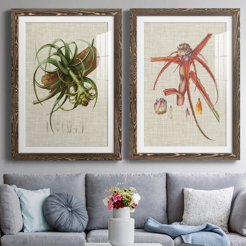 Toile encadrée Elegant Tropicals, H 37,5 po x l 55 po x P 1,5 po, Papier, cadre noyer, Blanc