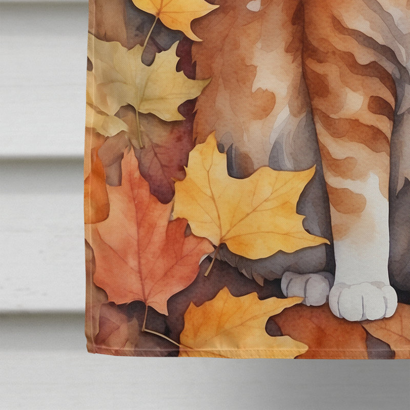 Chat en feuilles d'automne, La Perm