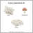 Mushroom Garden Comforter Set Twin/Twin XL