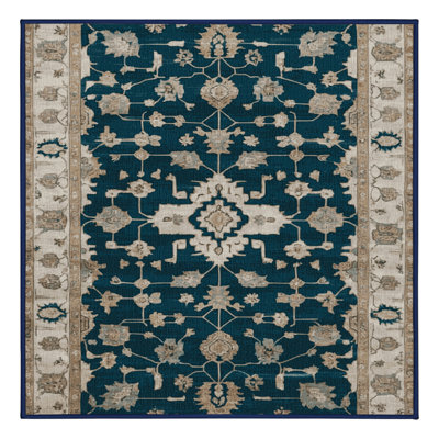 Machine Washable Overdyed Blue Area Rug