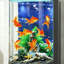 Aquarium 40-47 gallons