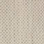 Tapis intérieur / extérieur ivoire / argent Anastasia-13093244