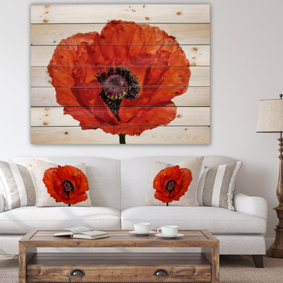 Gros plan sur un coquelicot rouge - impression sur