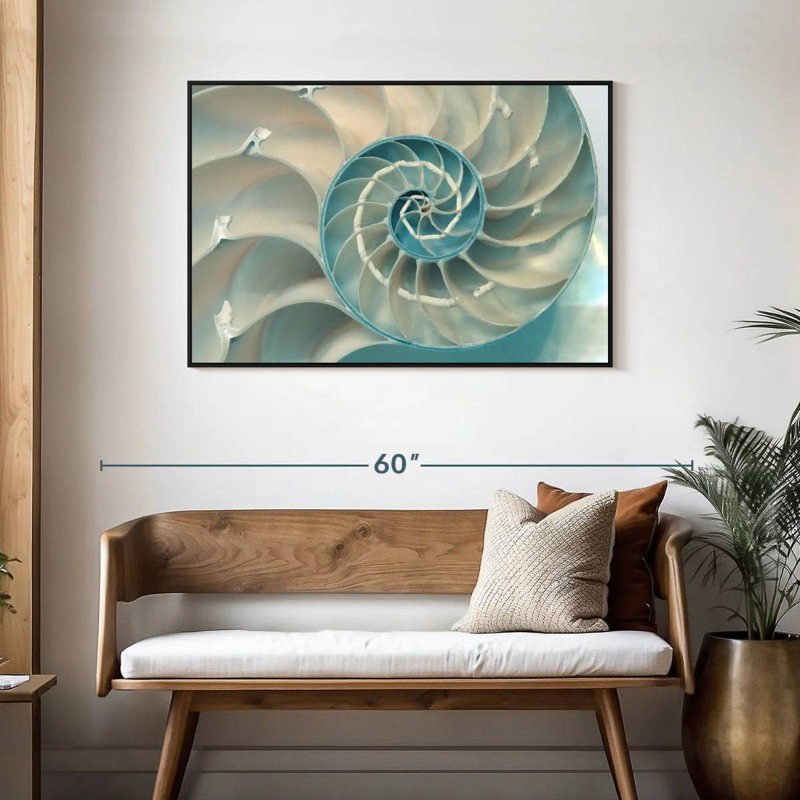 Inside A Nautilus Shell, 19" X 13", Floating Frame Black