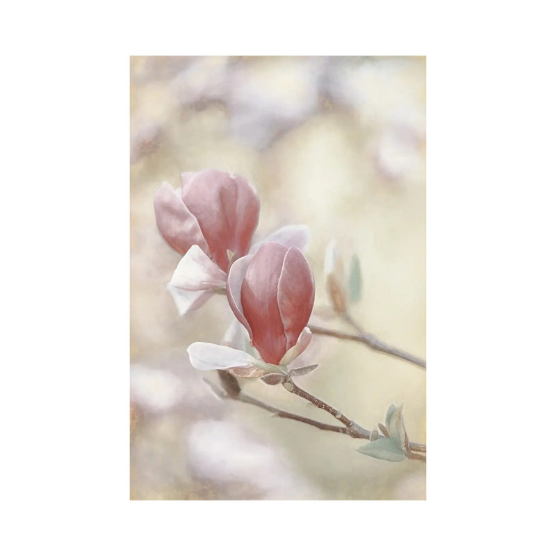 Blooming Hearts by Lars Van De Goor - Wrapped Canvas Gallery-Wrapped Canvas Giclée, 30.48 cm H x 45.72 cm W
