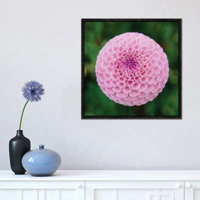 Dahlia Twins by Albert Koetsier - Gallery-Wrapped Canvas Giclée on Canvas