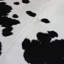 Cowhide Rug Black And White