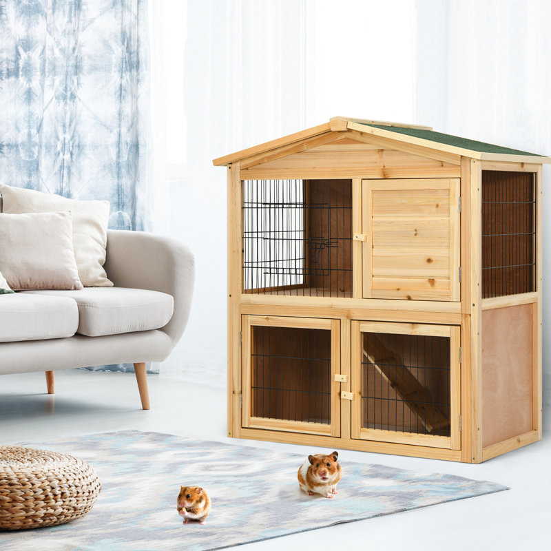 Asilin Chicken Coop