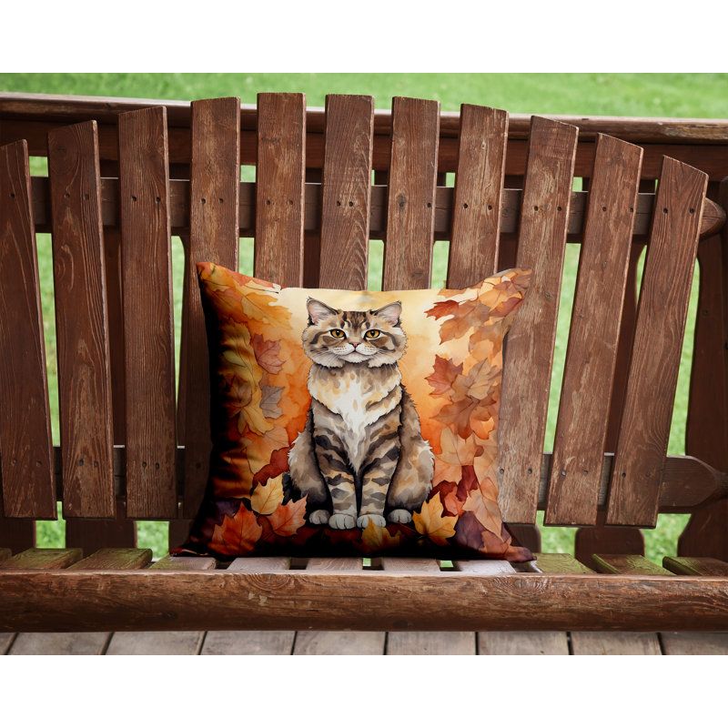 Coussin Selkirk Rex, Carré 14 po