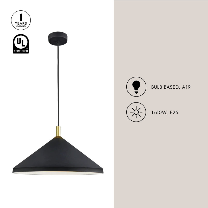 1 - Light Pendant, Black/Gold, 9" H x 18" W x 18" D