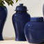 Ricki Ceramic Ginger Jar-1513130369-1488949445