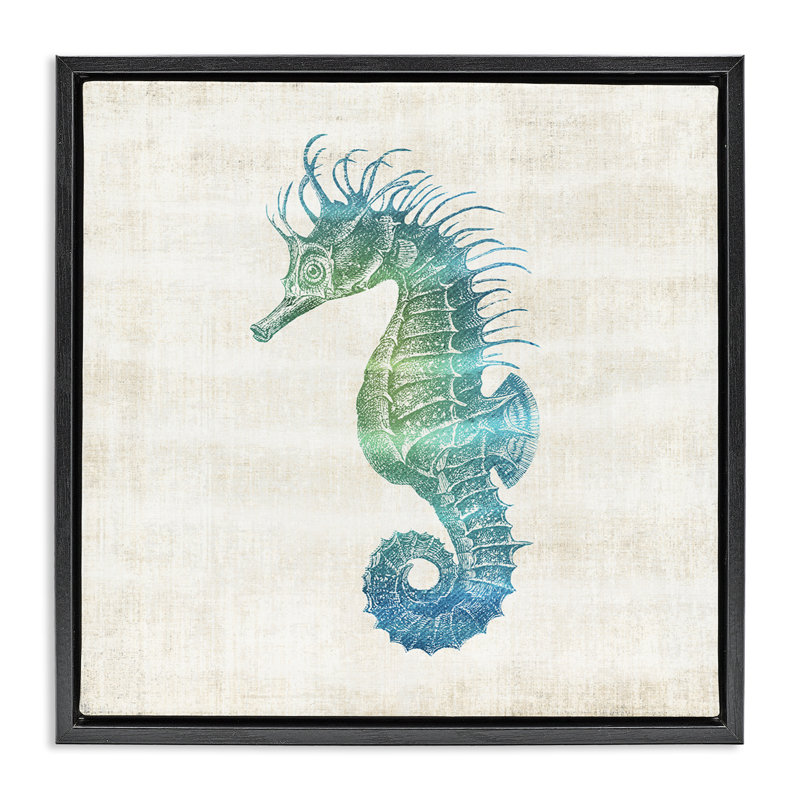 Cadre flottant Ombre Seahorse Expression, design par Susan Arnot, Cadre flottant noir de jais, H 18 po x l 18 po