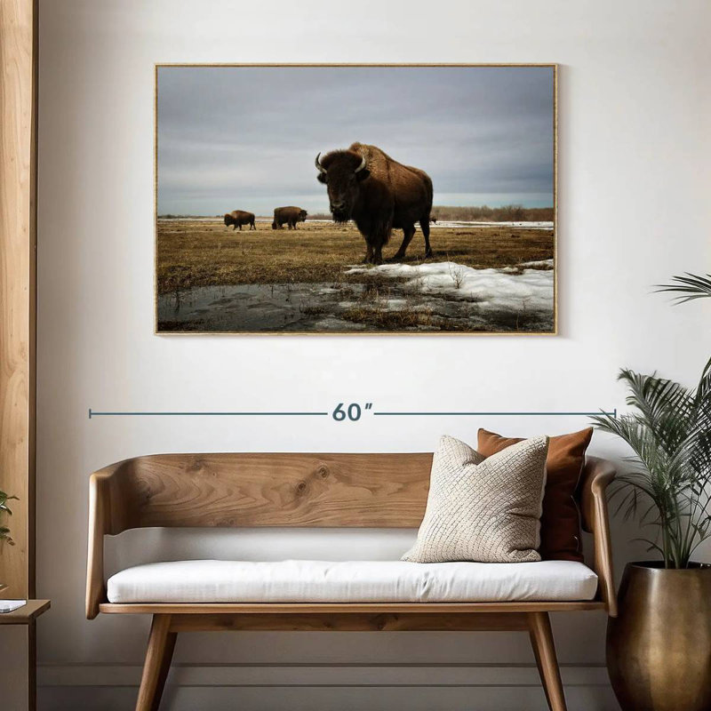 Bison Cloud Day, Cadre flottant en bois naturel, 46 po x 31 po