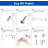 Adjustable Shower Head-101839091
