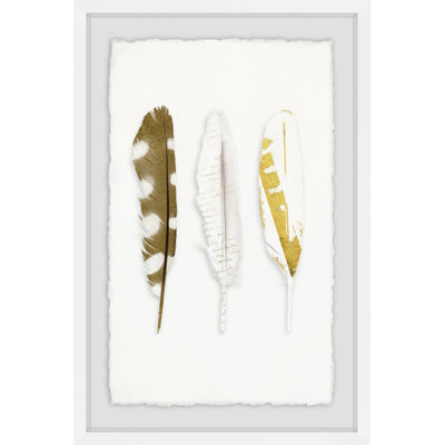 Vanishing Feather - Single Picture Frame Print