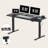 Adjustable Standing Desk, Whole-Piece Desktop-1704000865-1618947437