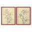 «Magnolia S croquis I», reproduction encadrée de qualité supérieure - prête à être accrochée - aucun clou requis - aucun clou requis-108034767-108034764