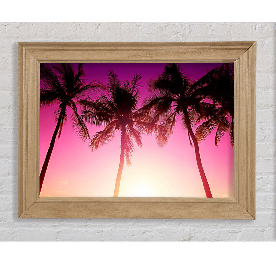 Los Angeles Sunset Palms - Druck