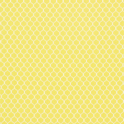 Fishnet Fabric