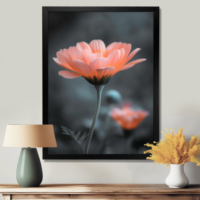 Pink Grey Botanical Beauty Marigold Photo - Marigold Wall Art Living Room