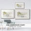 Cloisonné libellule-2087237576-2087237587