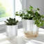 Ensemble de pots à fleurs en céramique Aedin