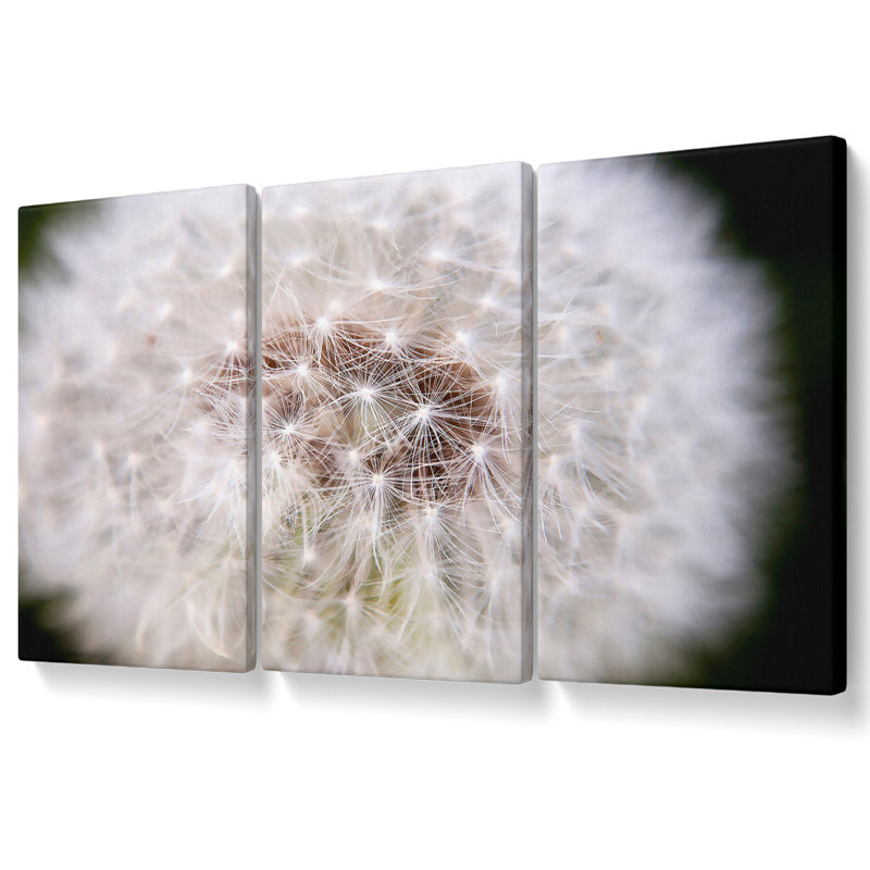 Make A Wish - 3 Piece Wrapped Canvas Print, 81.3cm H x 163cm W