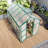 6x10 Ft Newly Marketed Walk-in Greenhouse - Heightened Windproof Aluminum With Raised Base & Anchors For Year-round Outdoor Use-122422434-122422433