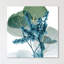 " Golden Lilly Of Eucalyptus 2 "-23604837