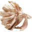 Deco Figurine Betta Fish-94491272-46367864
