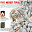 Arbre de Noël floqué de 4 pi avec 150 lumières ultralumineuses, 21 branches de pin, 366 branches enneigées, conception à charnières et base en métal robuste pour les fêtes avec construction, décor stable