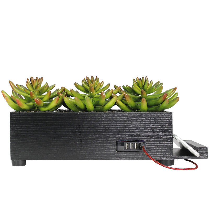 Plante grasse artificielle 17 po dans un vase décoratif, Noir