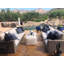 Coronado Outdoor 3 - Seat Patio Sofa-98127980
