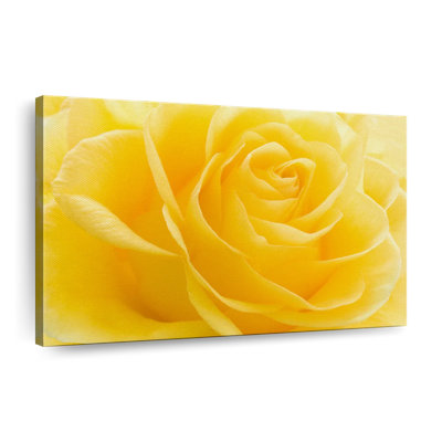 Pétales de rose jaunes sur toile