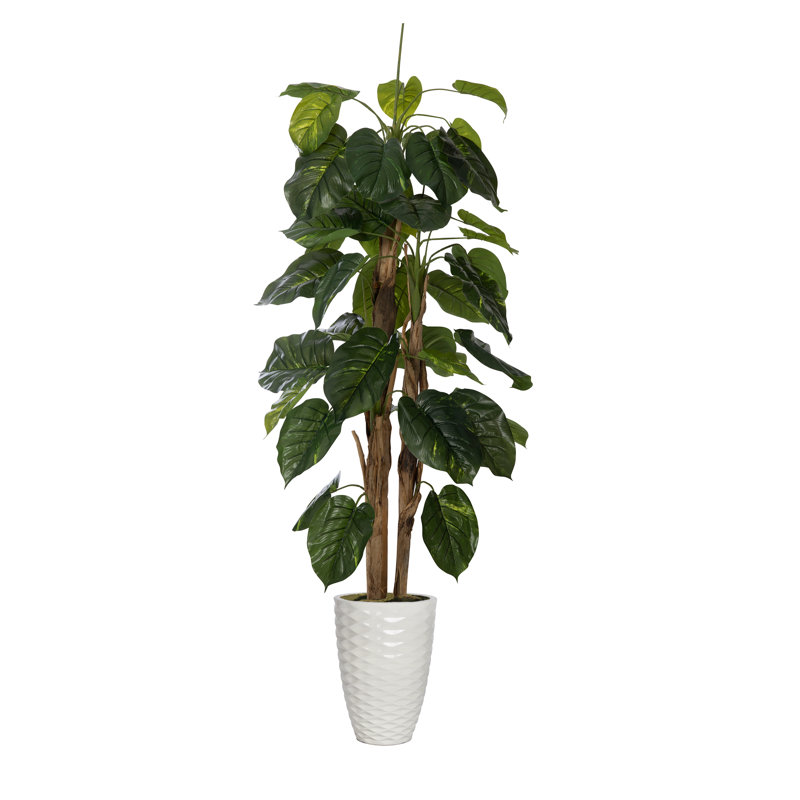 Jardinière 76,9 po