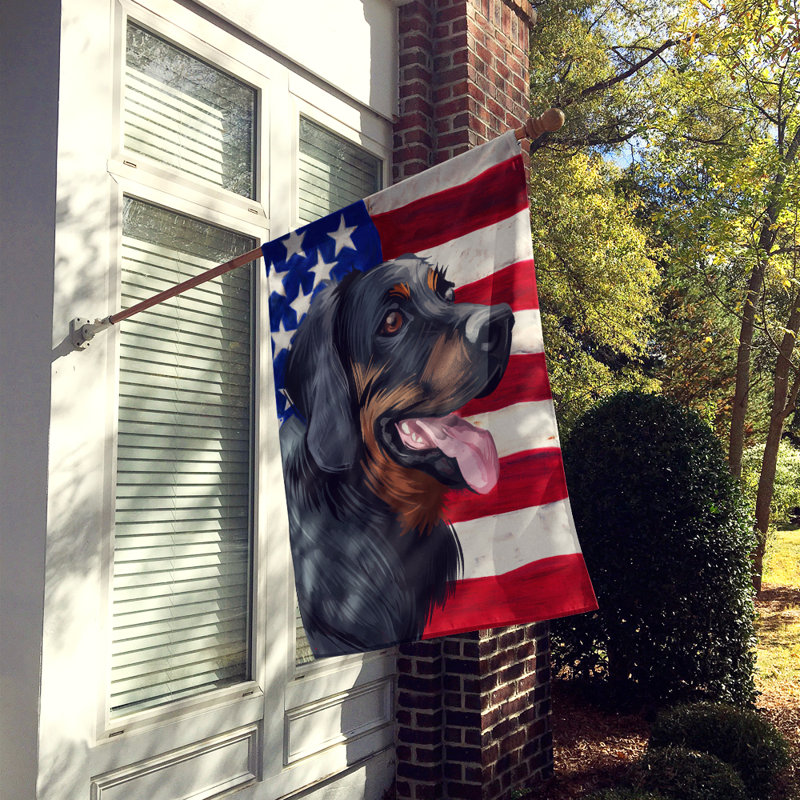 Polyester à 2 côtés 28 x 40 po drapeau maison, Chien de chasse polonais