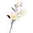 Magnolia Arrangement