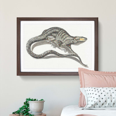 A Lizard by Johan Teyler - Picture Frame Painting