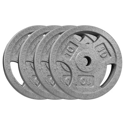 10LB*4 Cast Iron Weight Plates, 1 inch Standard Weights Plates with Anti-Rust Coating,  Triple Grip Handles for Home Gym Strength Training, Weightlifting