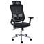 Office Chair with Headrest