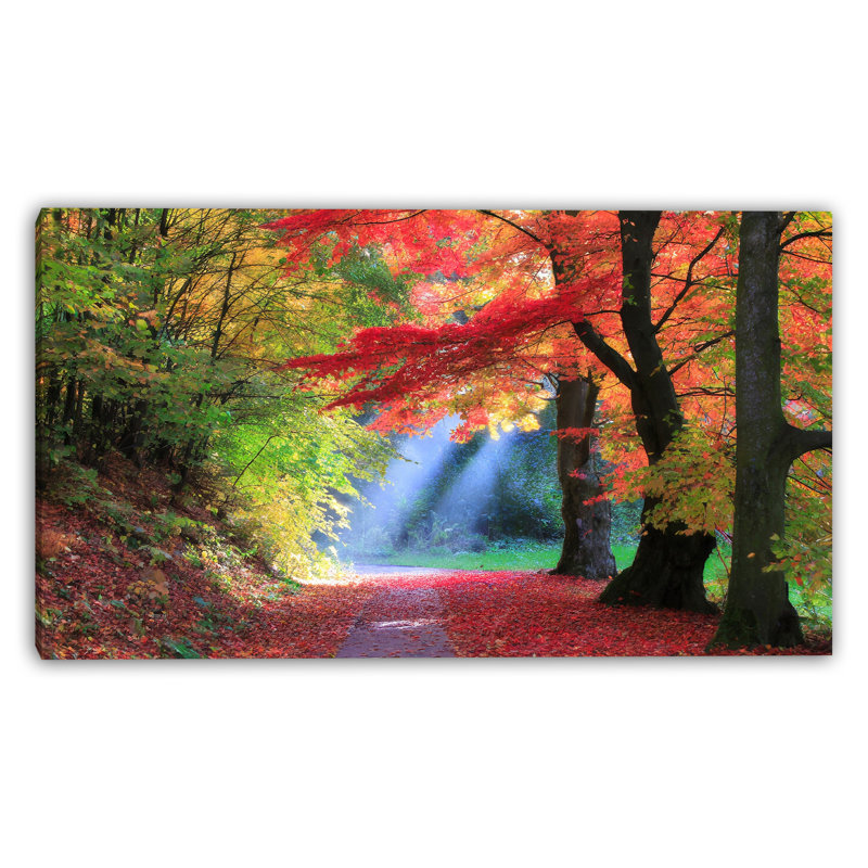 Crimson Canopy Walk Wrapped Canvas Wall Art, 24" H x 42" W