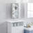 Wall Mounted Medicine Cabinet