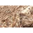 Sienna Brown Rug 5'5" x 8'0"