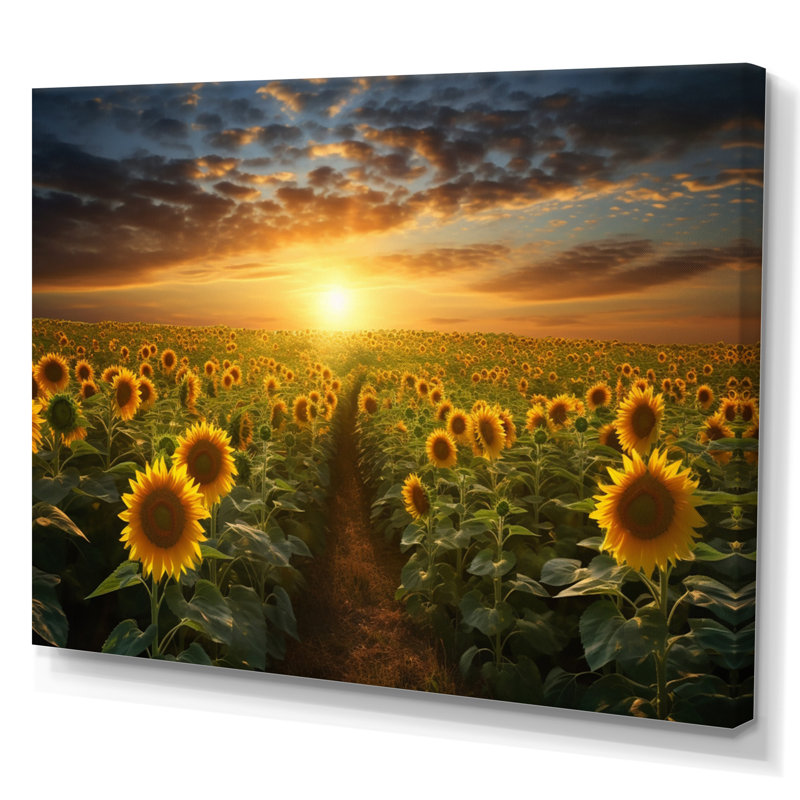 Tournesol doré panoramique - décoration murale florale, Toile tendue, H 12 po x l 20 po x P 1 po