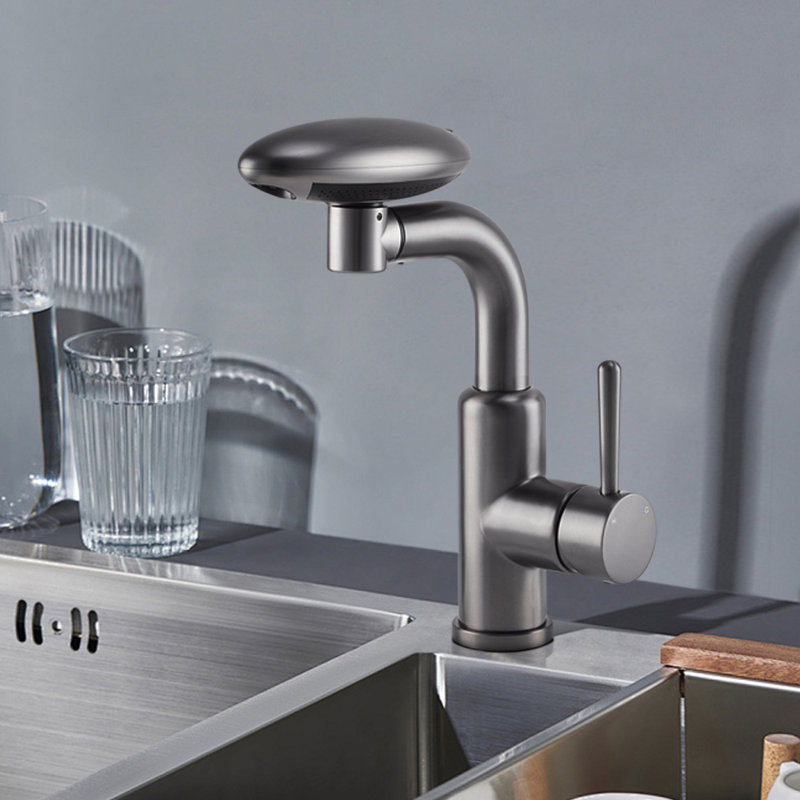 Metro Lane Kitchen Faucet