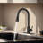 Casa Eclat Kitchen Faucet Side Spray-101803968
