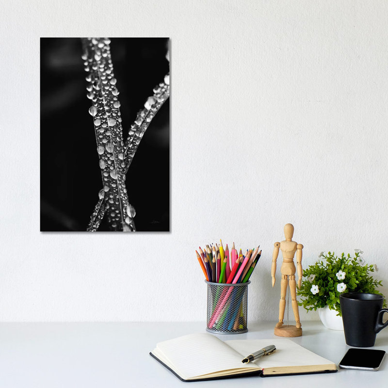 Water Droplets by Aledanda - Wrapped Canvas Print, 20.32 cm H x 30.48 cm W